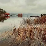 Holiday home Sea Views And Forest Tranquility At Rodtangen *