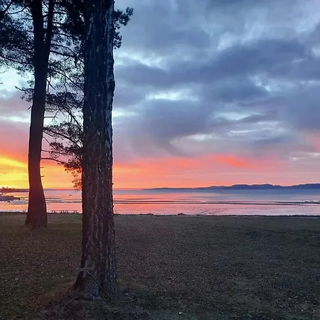 Sea Views And Forest Tranquility At Rodtangen