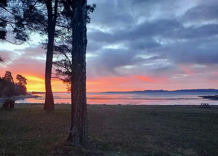 Sea Views And Forest Tranquility At Rodtangen