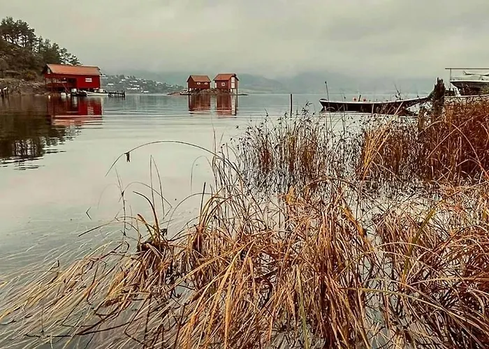 Sea Views And Forest Tranquility At Rodtangen * Holmsbu